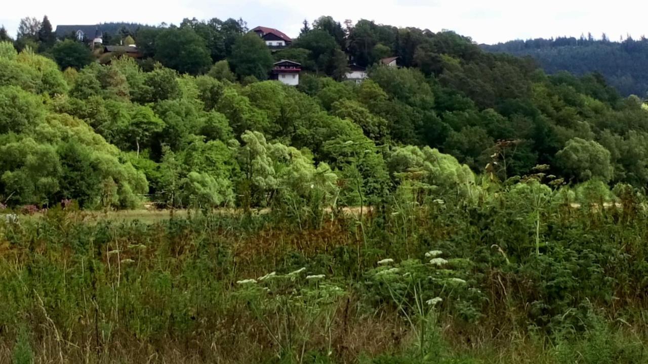 Ferienhaus Im Ederbergland Vila Hatzfeld Exterior foto